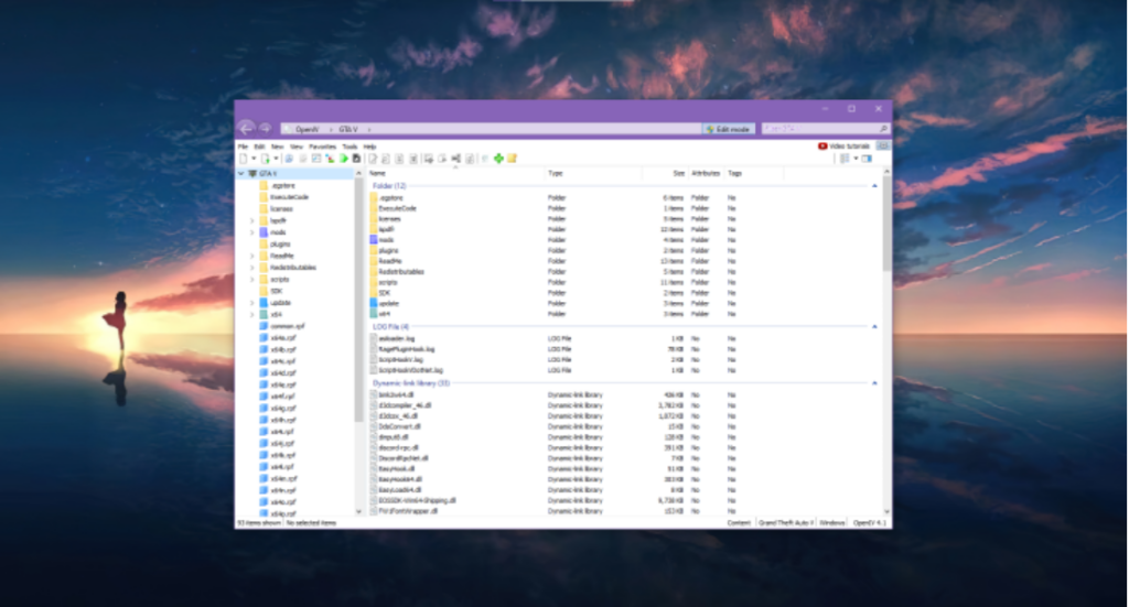 GTA V game directory inside OpenIV tool - MOD